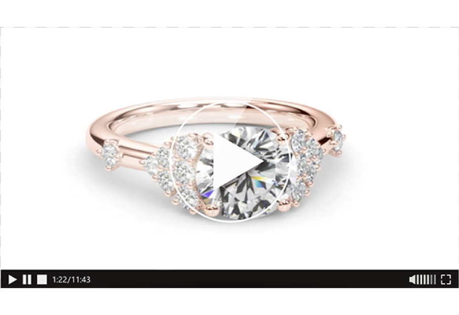 Actual Video Preview